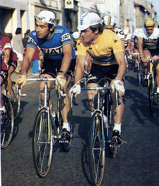 1977-DAULPHINE-HINAULT-MERCKX