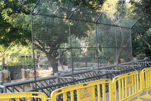 Zoo Barcelona 13-09-10 228 Zoo Barcelona 13-09-10 228