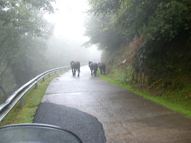 DSCN3672 DSCN3672