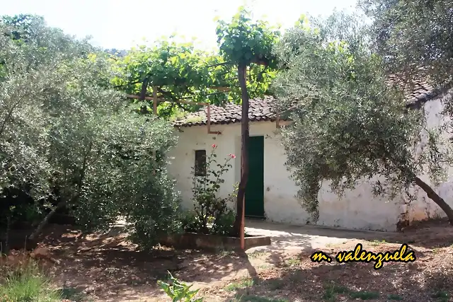 01, cortijo de julio, marca