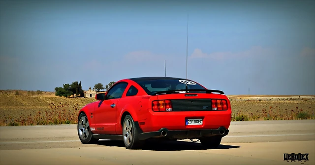 DSC_0516 DSC_0516