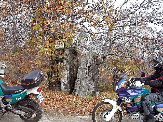 DSCN9521 DSCN9521