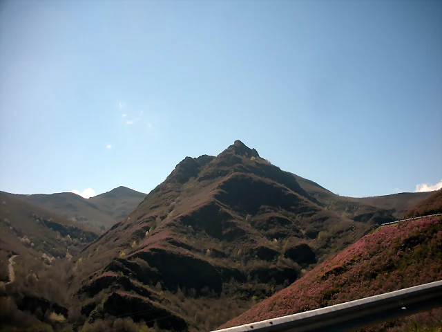 DSCN3985 DSCN3985