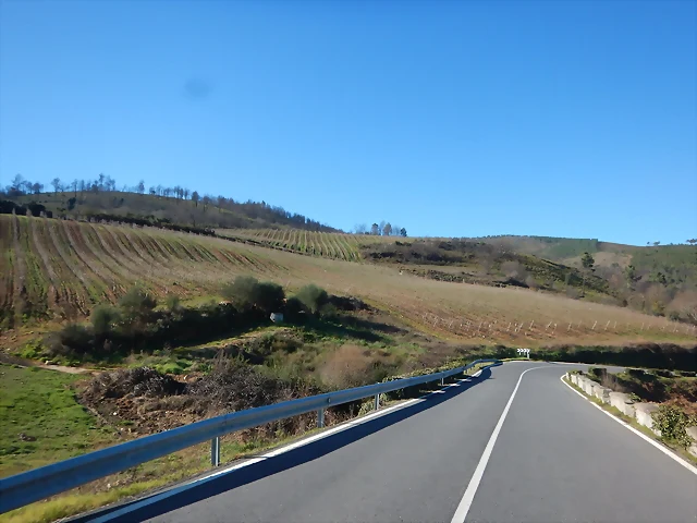 DSCN1642 DSCN1642