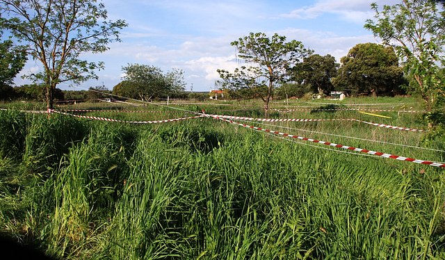 laberinto en el llano