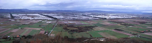 Antela_inundada1 Antela_inundada1
