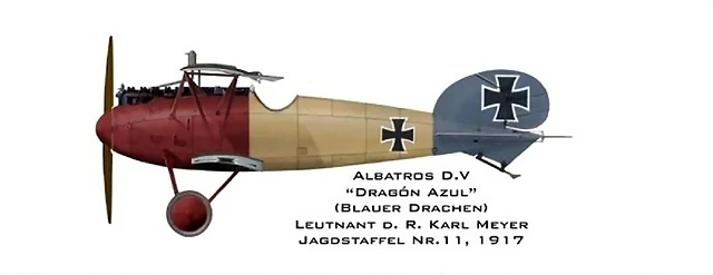 Albatros D.V. CMeyer