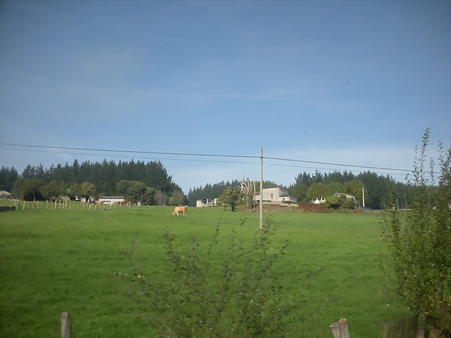 DSCN9787 DSCN9787
