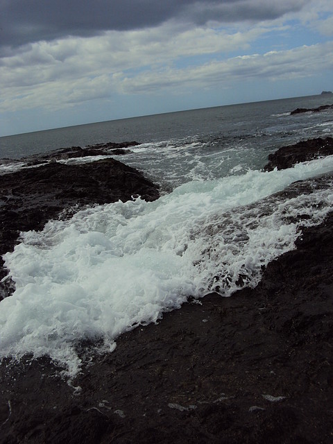 DSC01608 DSC01608