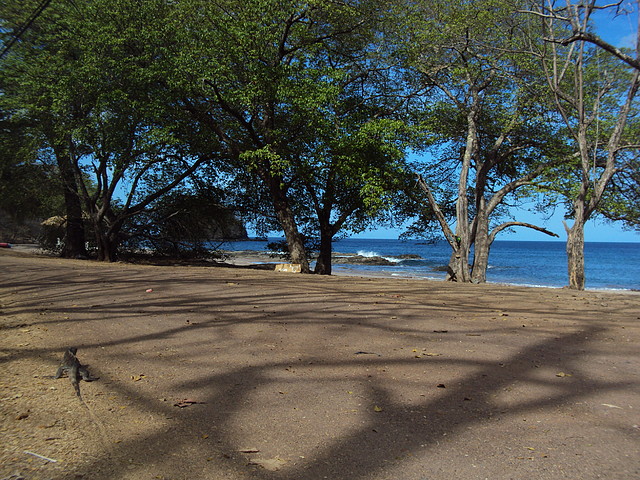 DSC01581 DSC01581