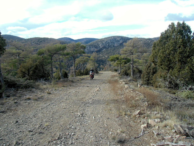 CIMG0702 CIMG0702