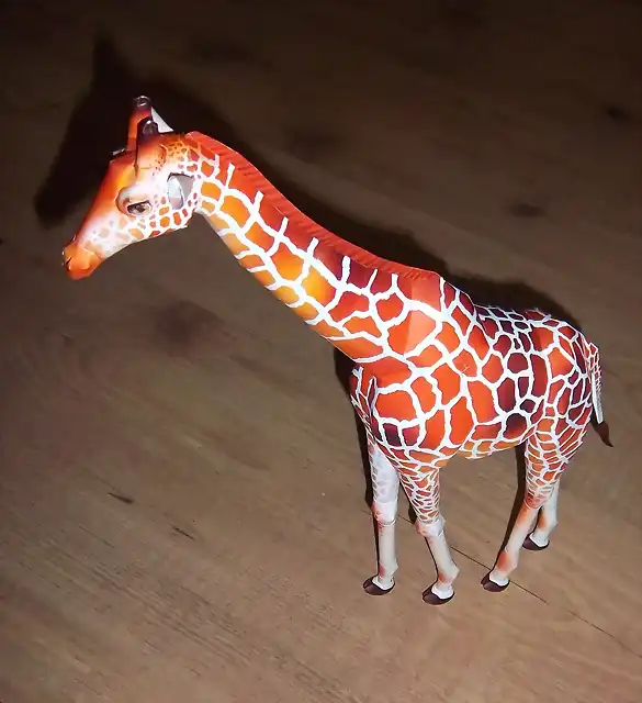 Girafa (18)