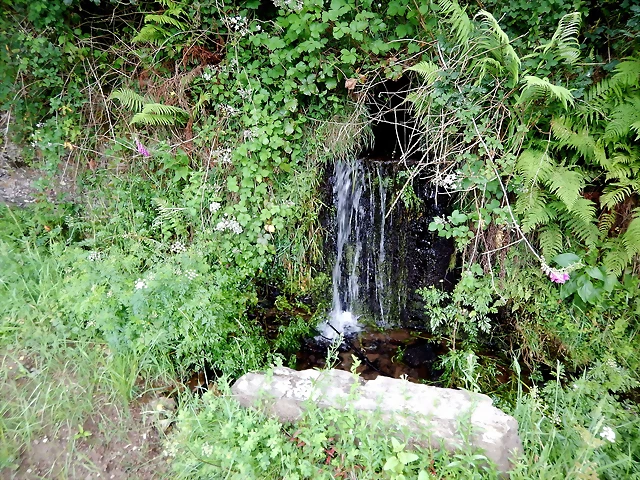 DSCN4361 DSCN4361