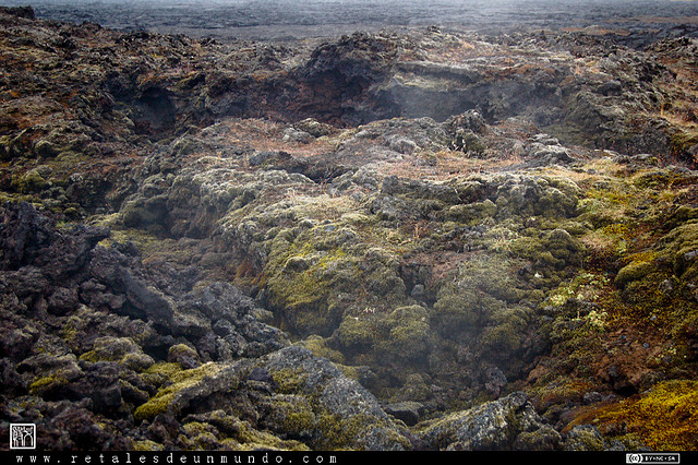 20090514235248_campo_lava