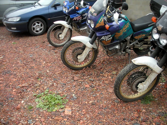 DSCN4937 DSCN4937