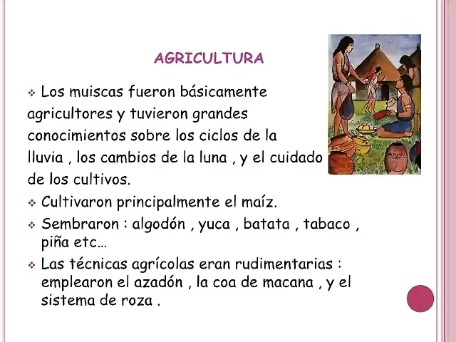 AGRICULTURA CHIBCHA