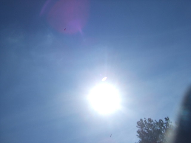 DSCF2080 DSCF2080