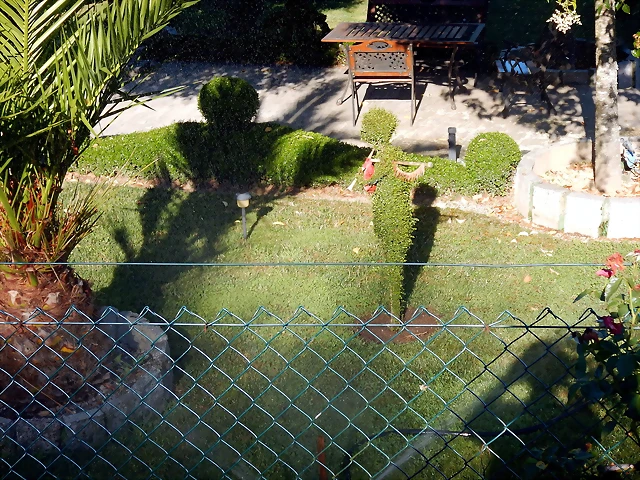 DSCN4240 DSCN4240