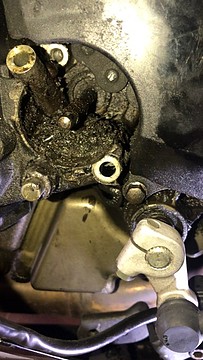 IMG_6712 IMG_6712