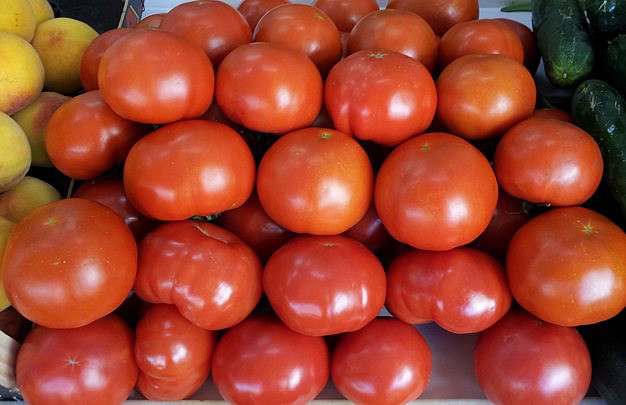 Tomates