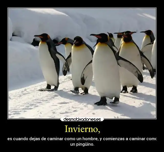 desmotivaciones-graciosas-desmotivaciones-4