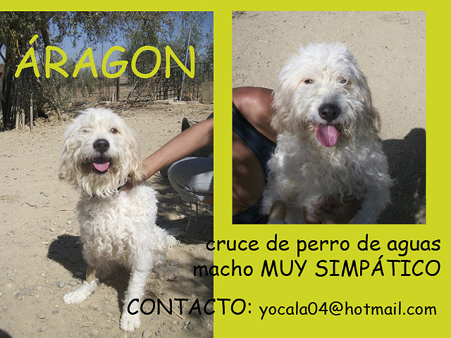 RAGON Sevilla