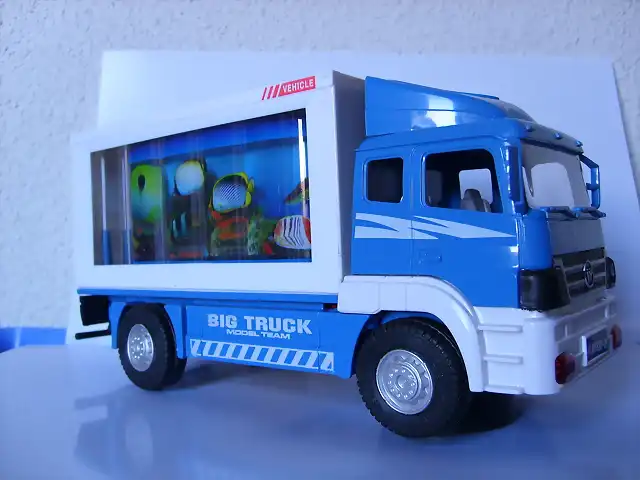 AVANCES SEGUNDO CAMION 002