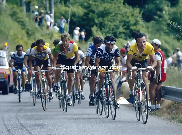 Perico-Tour1985-Hinault-Pino-LeMond-Van Impe-Rodriguez Magro