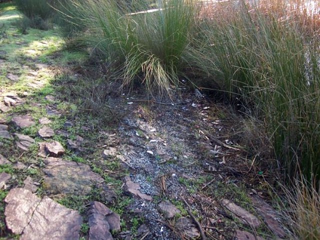 Contaminacion aguas eb M. de Riotinto-05.02,10