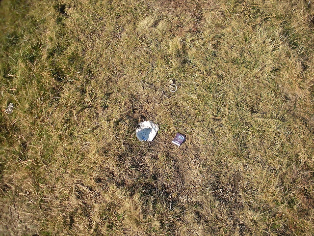DSCN2260 DSCN2260