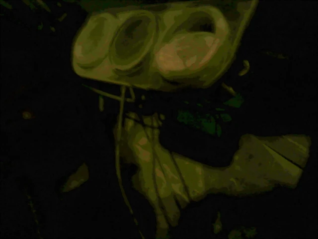 DSC00115
