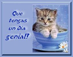 Que tengas un dia genial