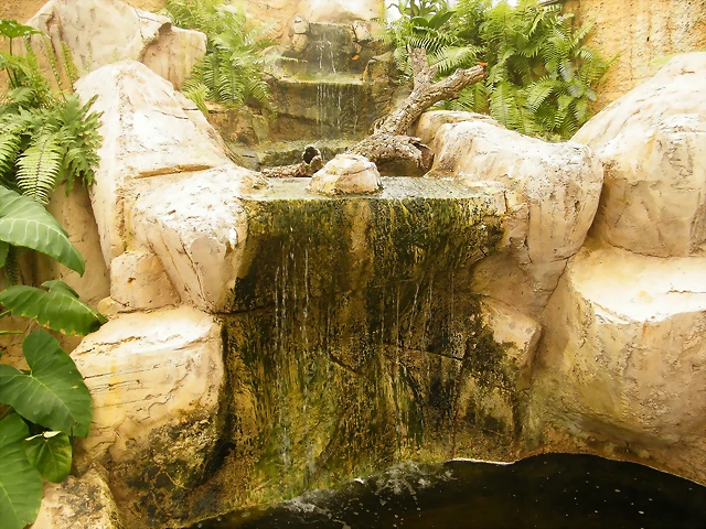 Cascada Del Mariposario