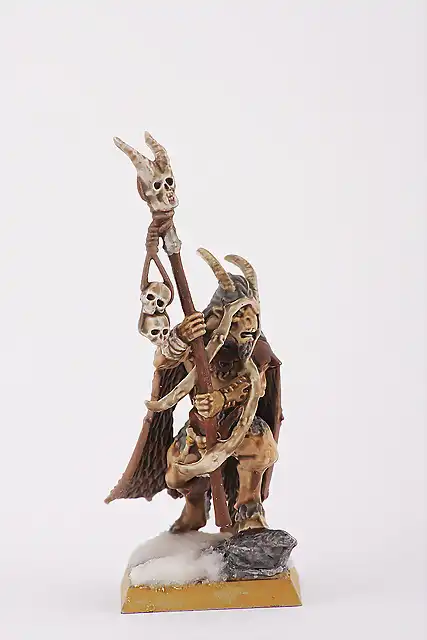 Beastmen Bray shaman (1)