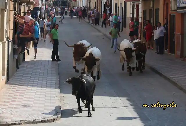 08, hacia la avenida, marca