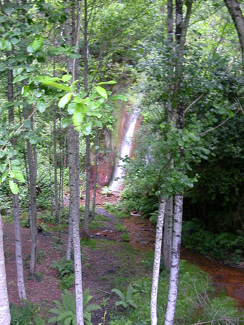 DSCN2222 DSCN2222
