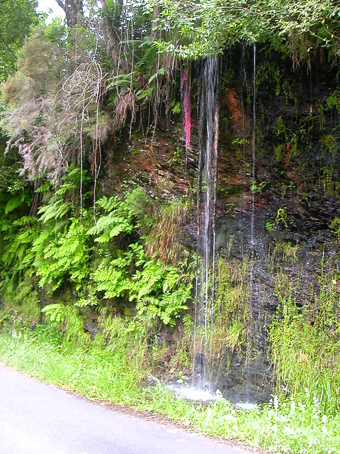 DSCN2231 DSCN2231