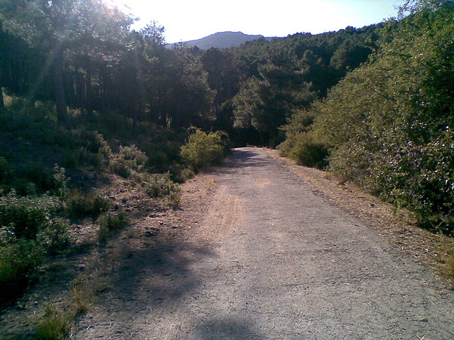 Pedriza, subida final