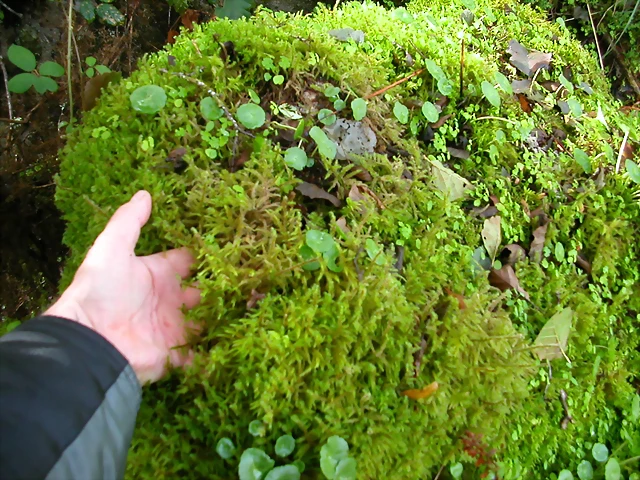 DSCN5753 DSCN5753