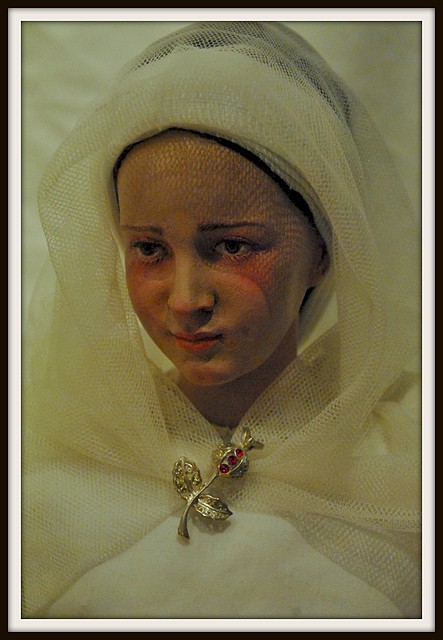 DSC_3464 DSC_3464
