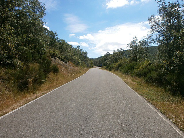 Fuentes de Peacorada (6)