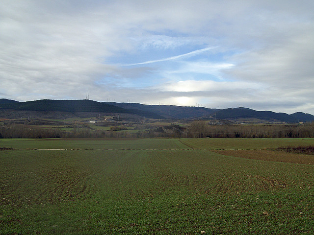 La foz de Lumbier 009