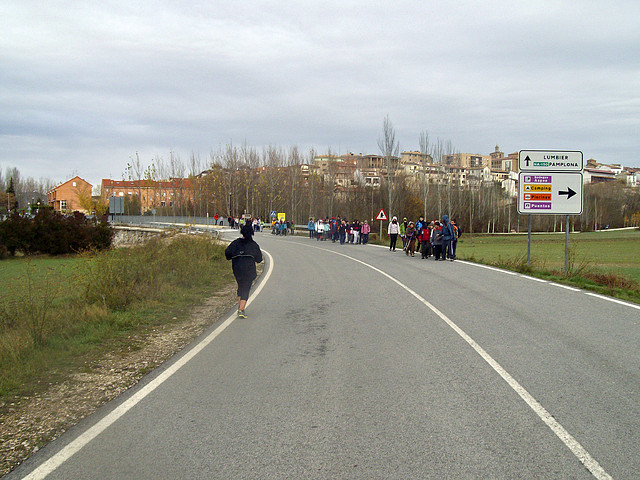 La foz de Lumbier 011