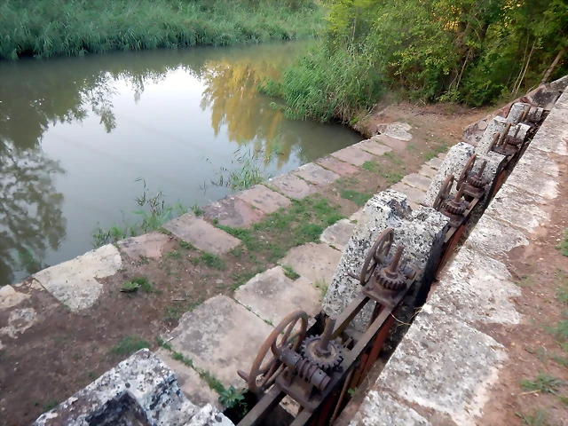 DSCN9560