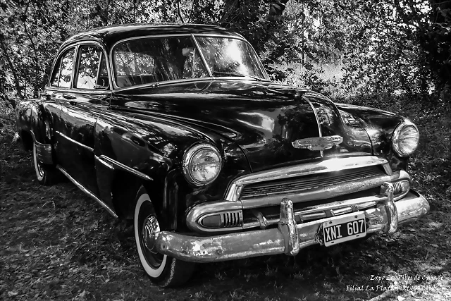 DSC_0103 DSC_0103