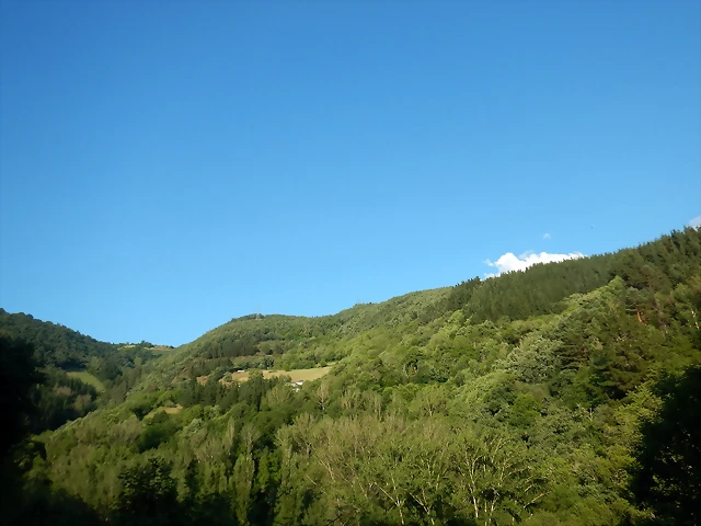 DSCN2452 DSCN2452