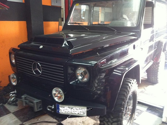 mercedes g lillo