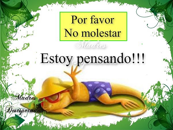 no molestar estoy pendando no molestar estoy pendando