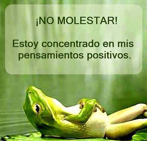 no molestar !!! no molestar !!!