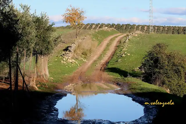 11, sobre el puente cillo, marca